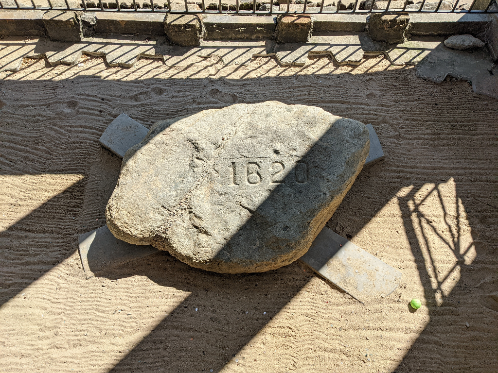 plymouth_rock