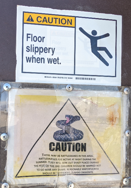 snakes