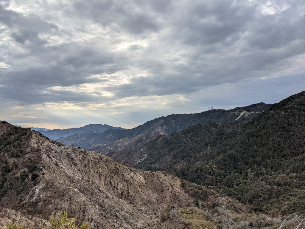 angeles