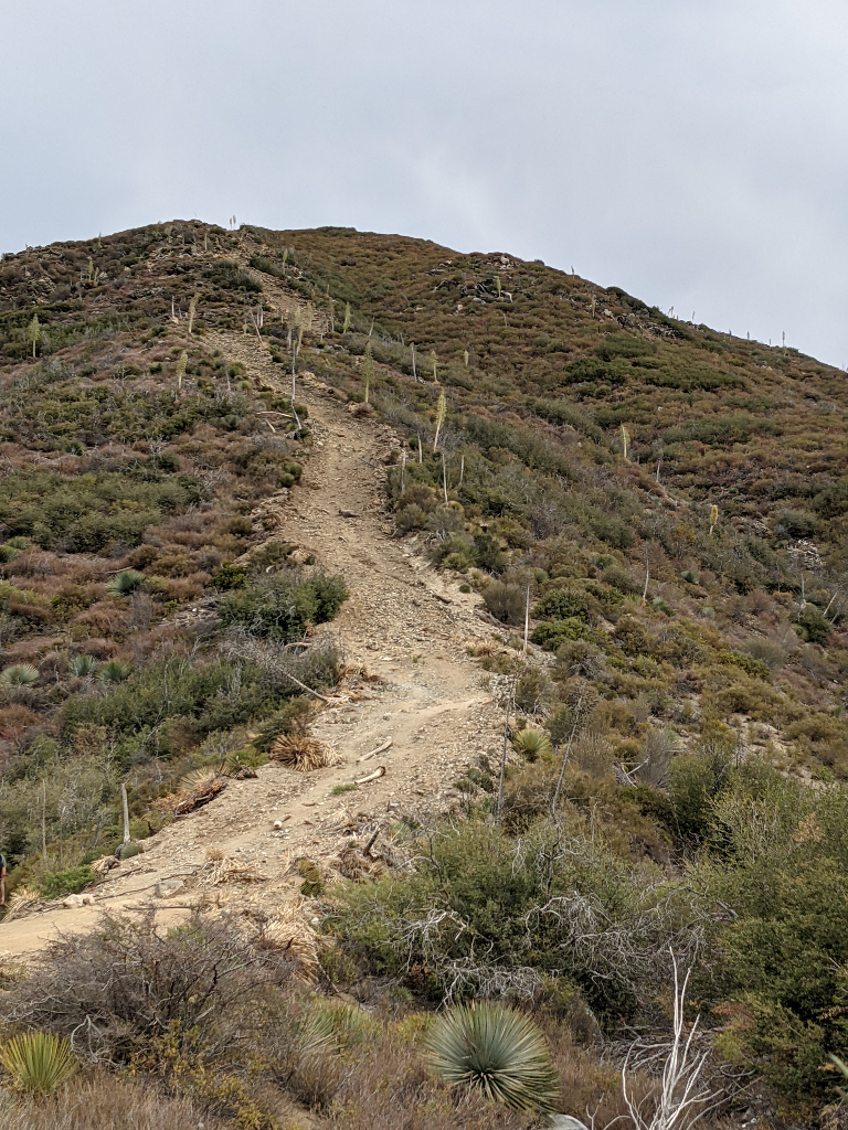 climb