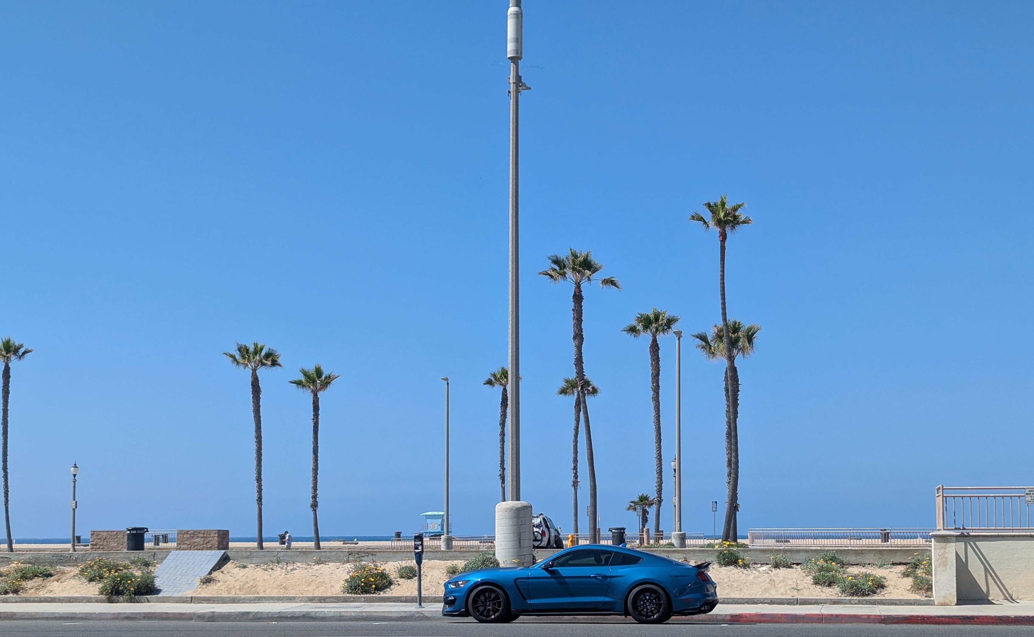 gt350