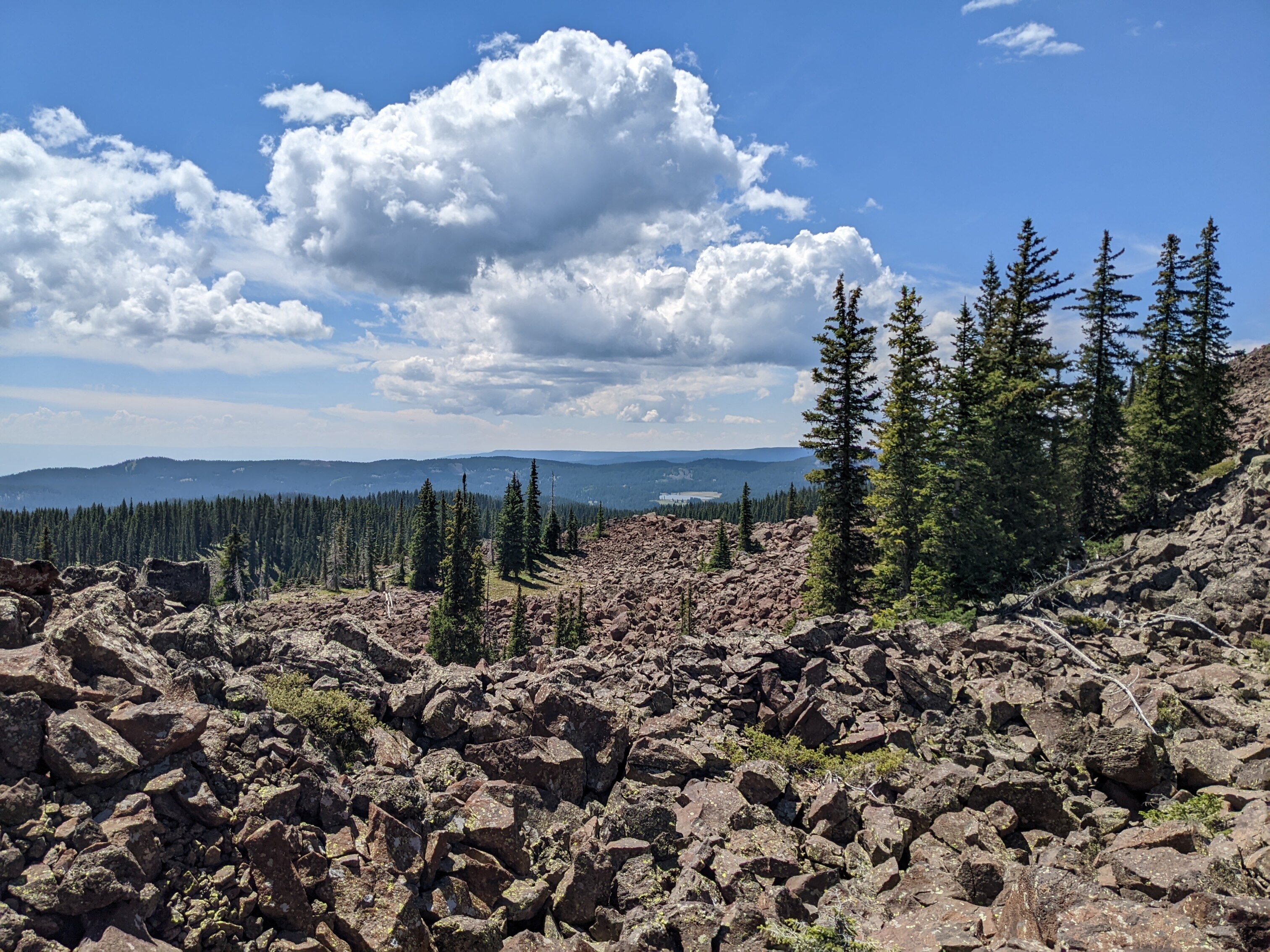 rocks